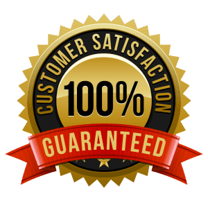 100% customer satisfaction job offer
